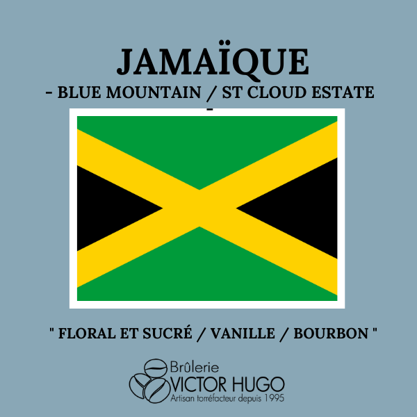 Jamaïque Blue Mountain 1 Kg - Café des Caraïbes