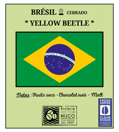 BRESIL / Cerrado 