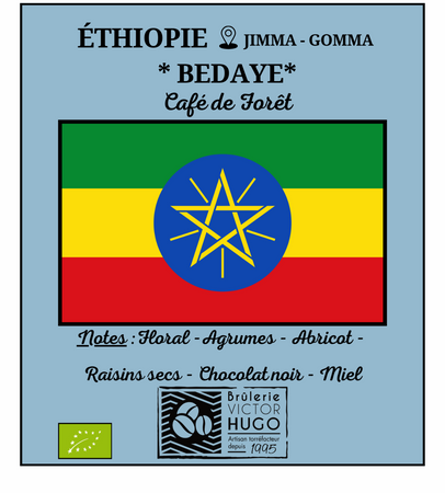 ETHIOPIE / Jimma 