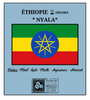 ETHIOPIE MOKA / Sidama 