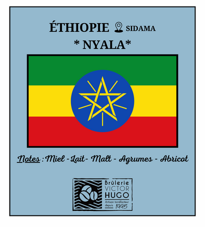 ETHIOPIE MOKA / Sidama 