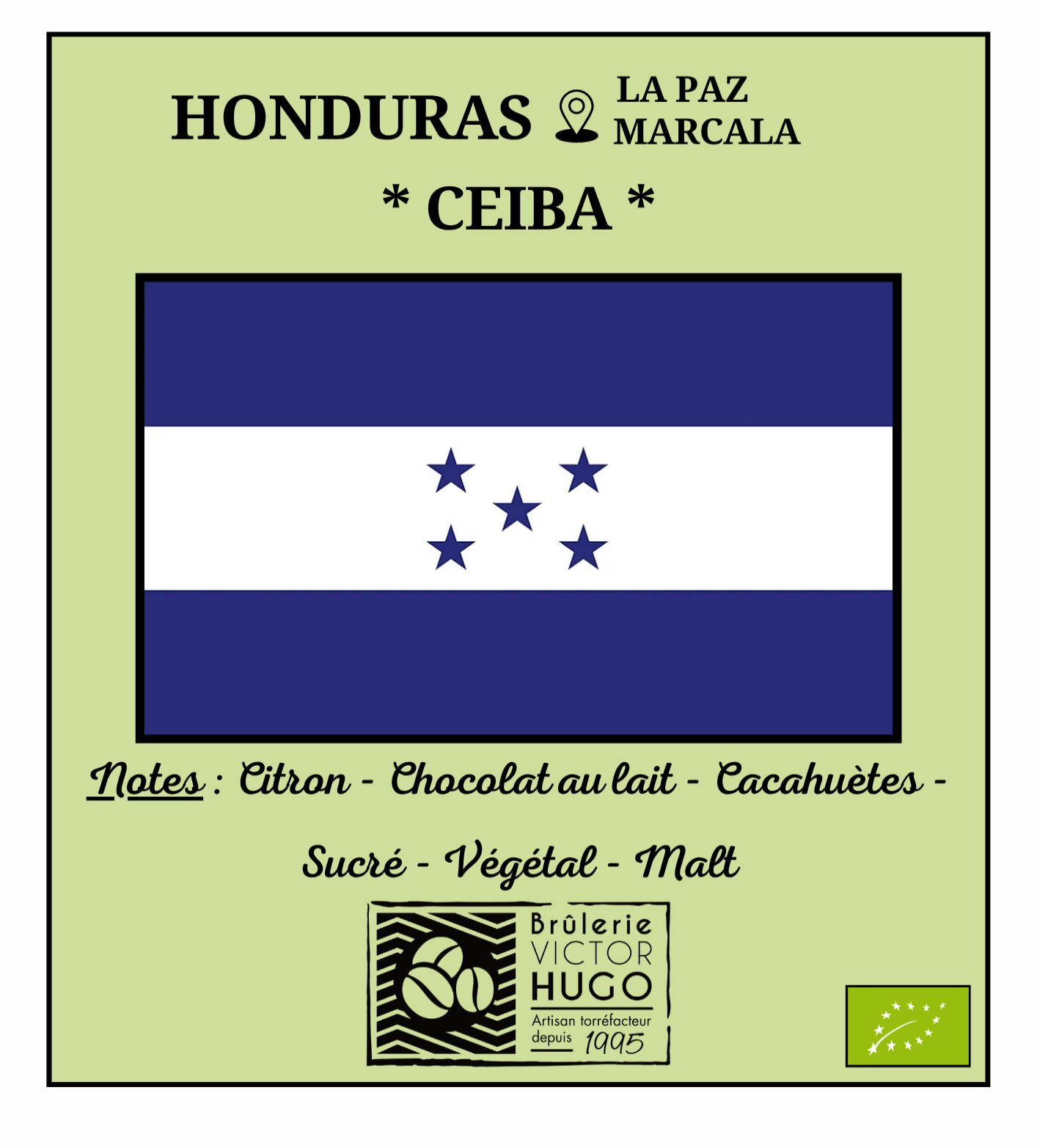 HONDURAS / La Paz "CEIBA" - Culture Biologique - Brûlerie Victor Hugo
