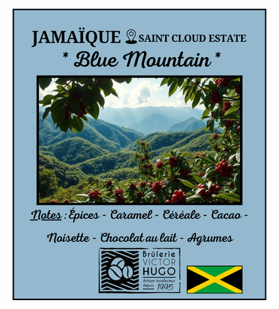 ✨JAMAÏQUE✨ ~ BLUE MOUNTAIN ~ Saint Cloud Estate - Brûlerie Victor Hugo