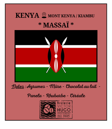 KENYA / Mont Kenya 