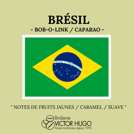 Brésil - Bob O Link - CAPARAO / ALTO JEQUITIBA - Brûlerie Victor Hugo
