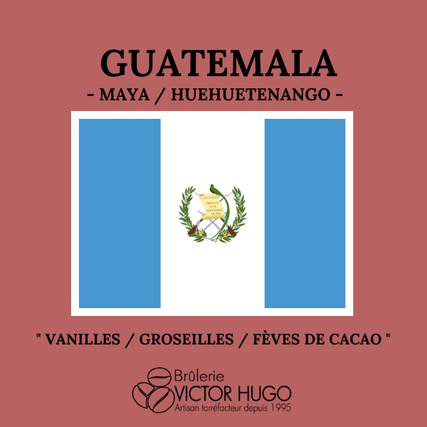 Guatemala - Maya - HUEHUETENANGO - La Brûlerie Victor Hugo
