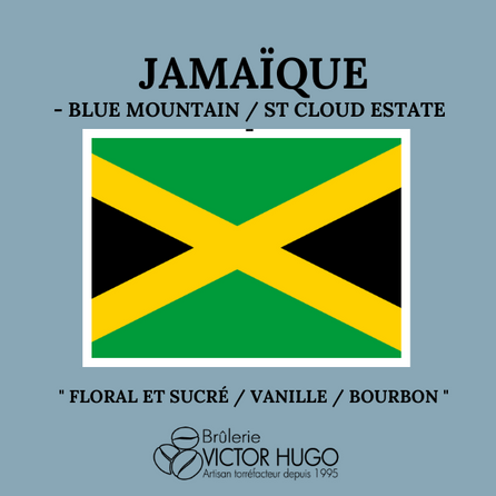 Jamaïque - Blue Mountain - ST CLOUD ESTATE - Brûlerie Victor Hugo